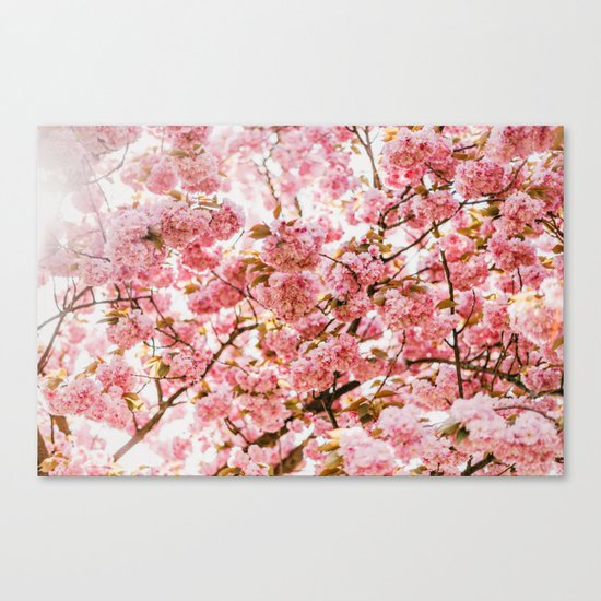 Simple Splendor Canvas Print