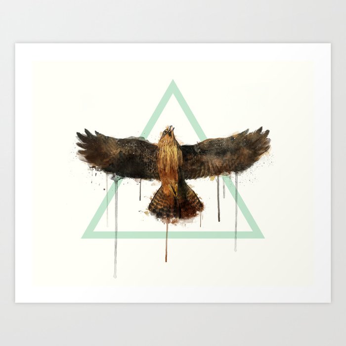 Discover the motif FALCON by Amy Hamilton as a print at TOPPOSTER