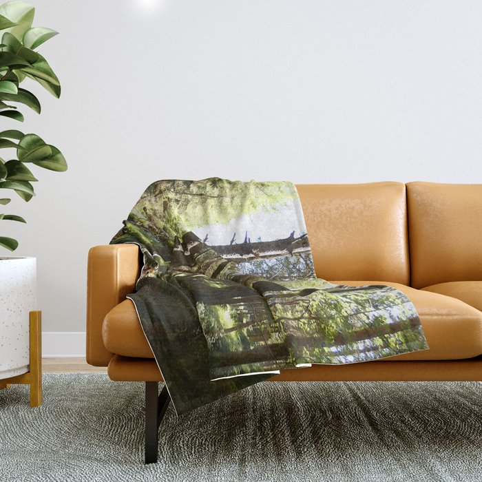 Scottish Highlands Light and Shadow Nature Path Throw Blanket