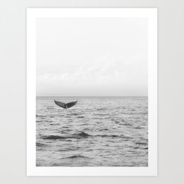 Humpback Whale Nature Photography No. 3 Art Print