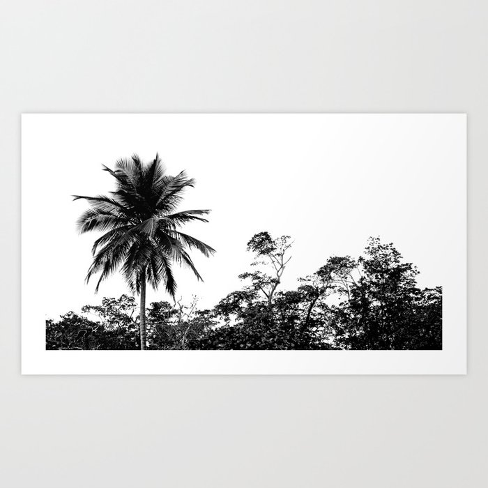 Palm Tree Supreme Art Print