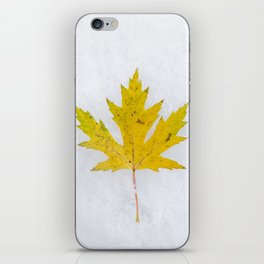 Yellow Maple Leaf on Snow iPhone Skin