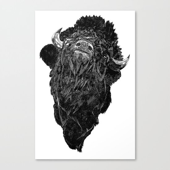 Bison Canvas Print