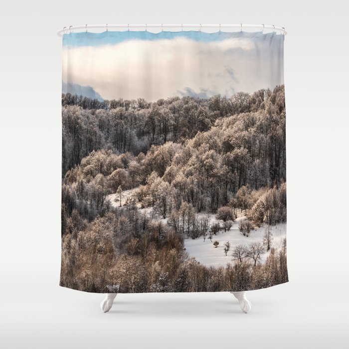 Winter Landscape 3 Shower Curtain