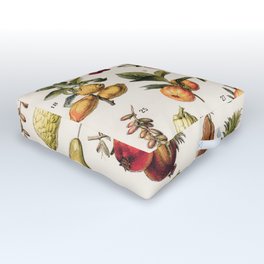 Adolphe Millot - Fruits exotiques - French vintage botanical illustration Outdoor Floor Cushion