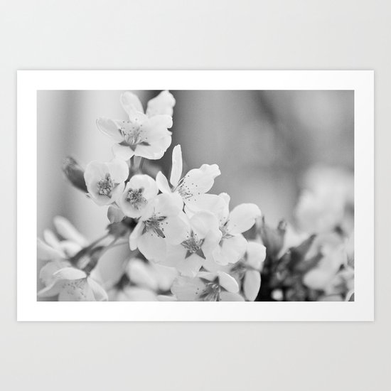 Blooming Softly Art Print