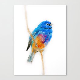 Blue bird Canvas Print