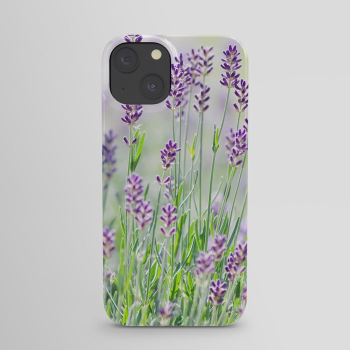 #Lavender in #Summer #garden #dreams iPhone Case