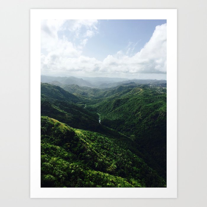 Puerto Rican Jungle Art Print by MMAC | Society6