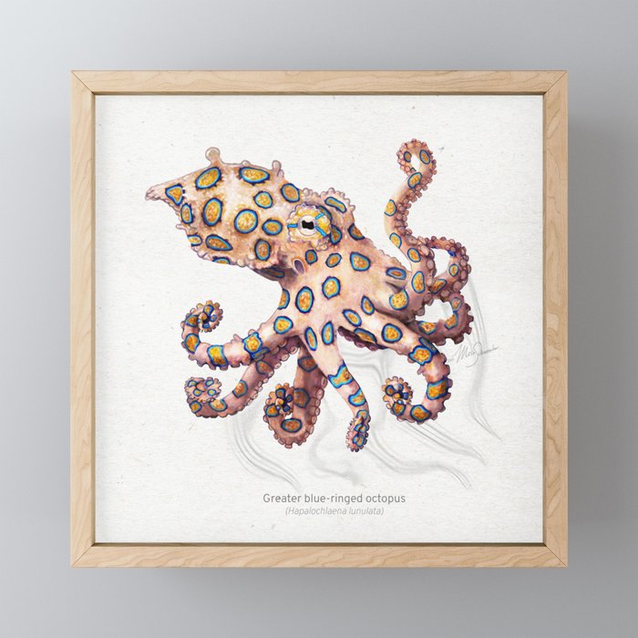 Framed Mini Art Print