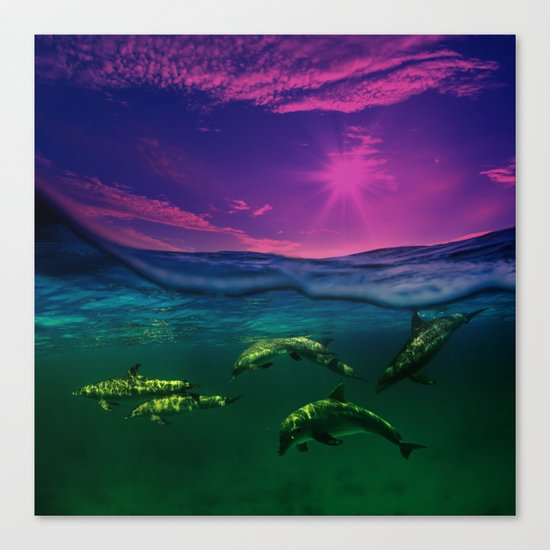Dreaming Of Dolphins Canvas Print
