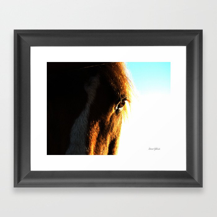 Mustang Framed Art Print