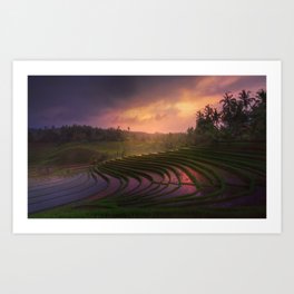 terraces Art Print | Travel, Ubudindonesia, Nature, Travel Photography, Ricefields, Asia, Landscape, Wanderlust, Palmtree, Palm 