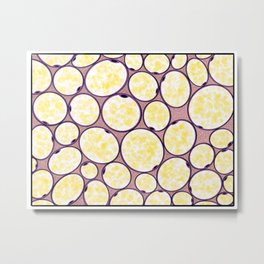Adipose Connective Tissue Metal Print | Medical, Cell, Illustration, Anatomy, Histology, Fat, Drawing, Tissue, Nursing, Biology 