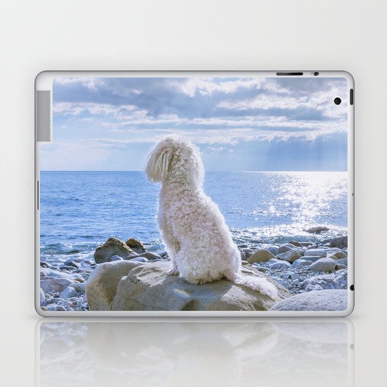 Beige Poodle Sitting On White Stone Laptop & iPad Skin