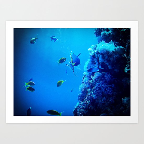 Fishes Art Print
