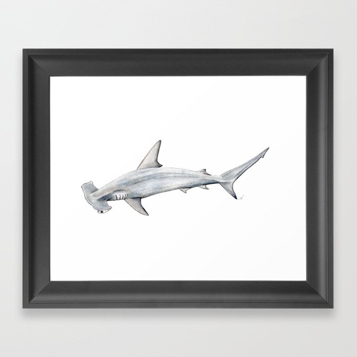Hammerhead shark for shark lovers, divers and fishermen Framed Art Print