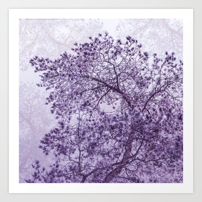 Beautiful Pine Tree Silhouette Purple Color #decor #society6 #buyart Art Print