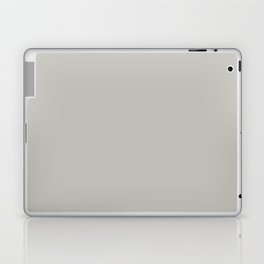 Light Gray Grey Laptop & iPad Skin