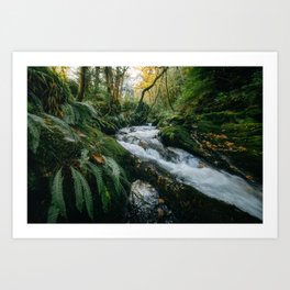 Ireland - Wild River in Wicklow Mountains (RR04) Art Print