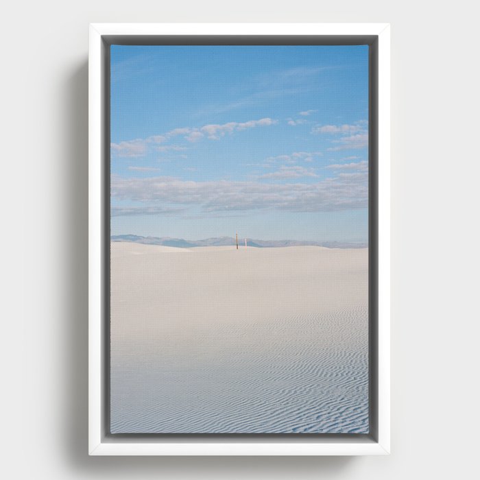 Framed Canvas