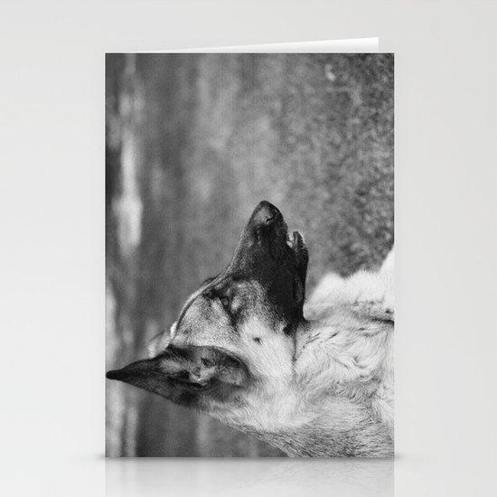 Baron Boy Stationery Cards