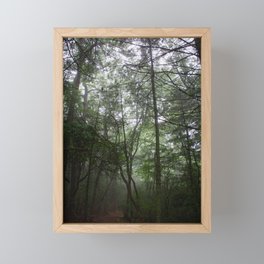 Foggy Hollow Framed Mini Art Print