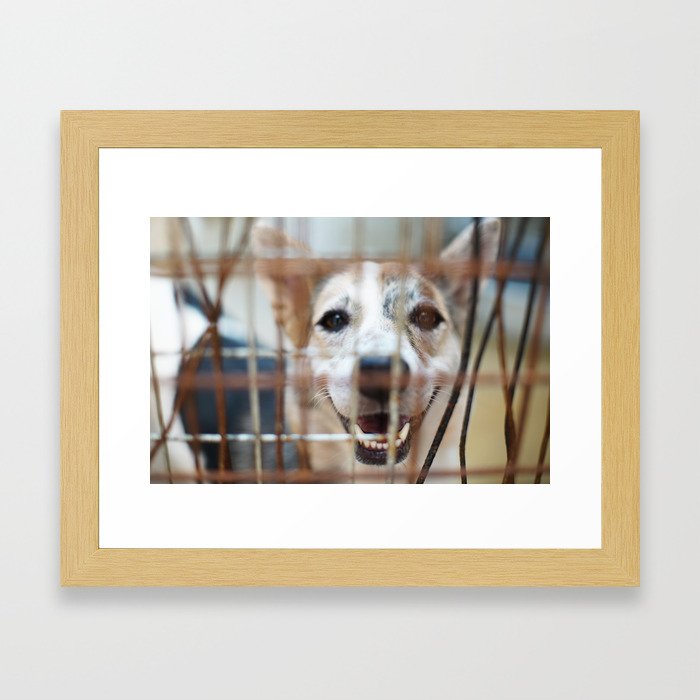 Hello There Framed Art Print