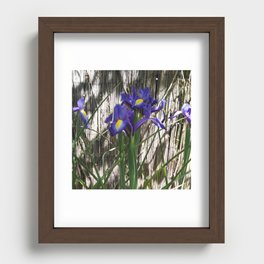 Enigmatic iris in shady environment Recessed Framed Print