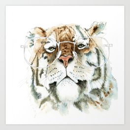 'Look at me' - portrait of a cool looking tiger Art Print
