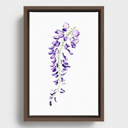Wisteria - Lone Floral Framed Canvas