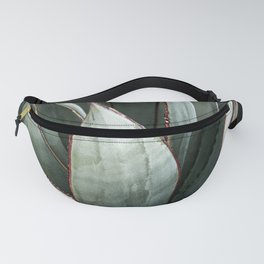 Cactus Leaves // Green Southwest Home Decor Vibes Desert Hombre Plant Photograph Fanny Pack | Photo, Country Outfitters, Flower Arizona Cacti, Trippy Of Bohemian, Joshuatree Cowboy, Palm Succulent Decor, Plant Plants Leaves, Desert Cactus Sky, Boho And Artwork, Pictures Photos Home 
