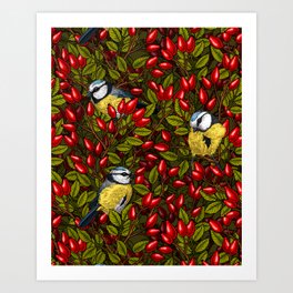 Birds and dog rose hips 2 Art Print | Rose, Botanical, Autumn, Painting, Rosehips, Bluetit, Design, Drawing, Dogrose, Bird 