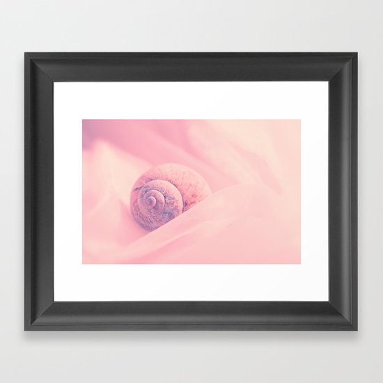 Coquille Framed Art Print