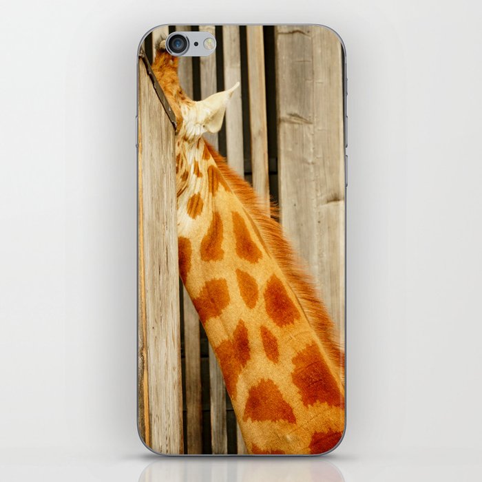 Shy Giraffe Portrait iPhone Skin