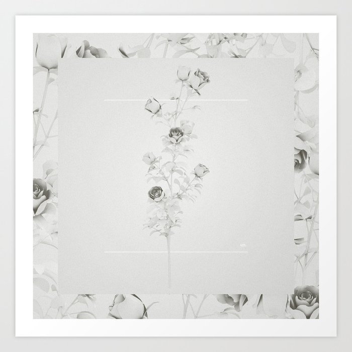 White roses Art Print