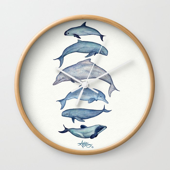"Rare Cetaceans" by Amber Marine - Watercolor dolphins and porpoises - (Copyright 2017) Wall Clock