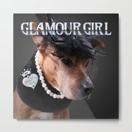 Glamour Girl Metal Print | Pit, Photo, Dog, Pitbull 