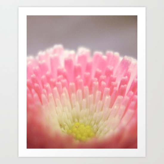 Winter flower. Art Print
