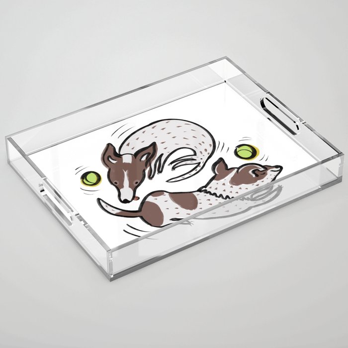 jack russell Acrylic Tray