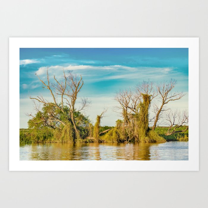 Parana River San Nicolas Argentina Art Print By Danflcreativo