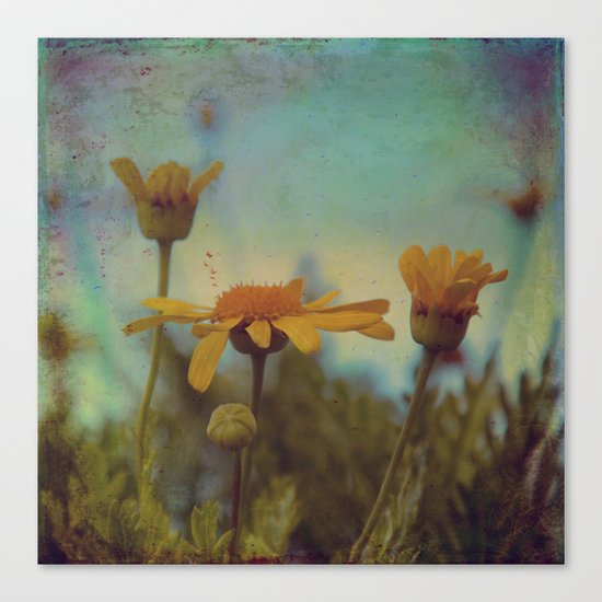 The beauty of simple things Canvas Print