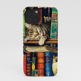  Cat Sleeping in Bookshelf iPhone Case