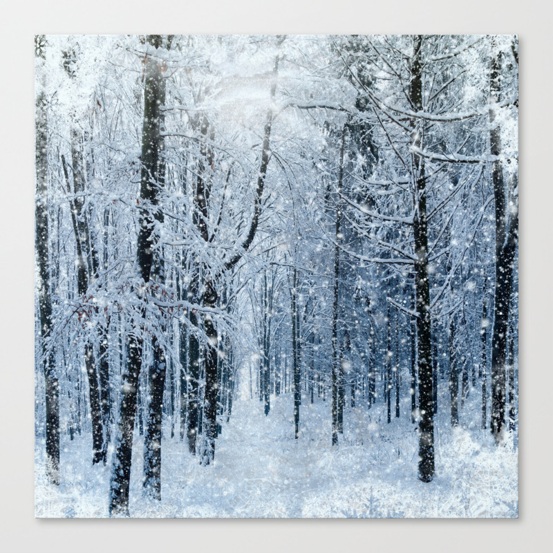 canvas print fr winter wonderland ipi studio