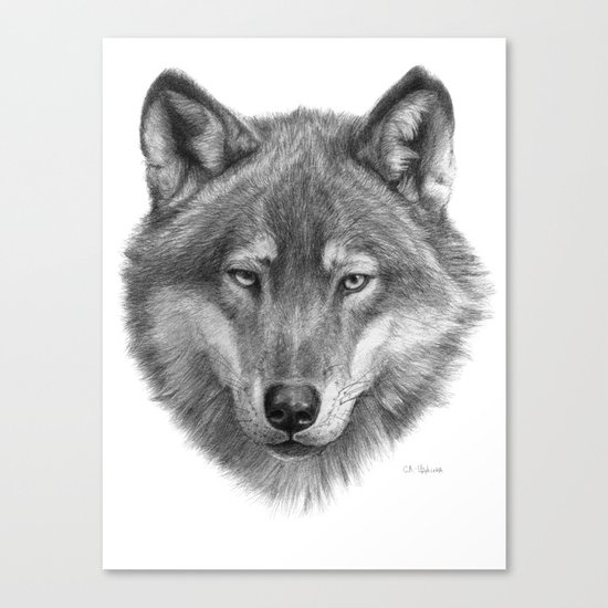 Wolf face G084 Canvas Print