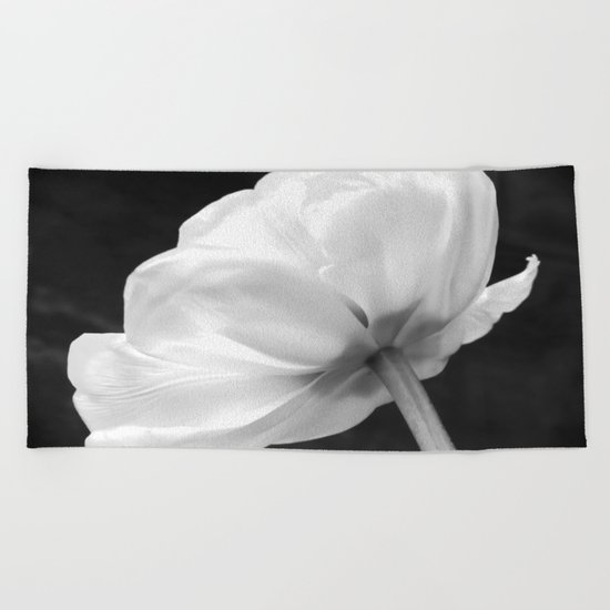 Close-up of white tulip in black background Beach Towel