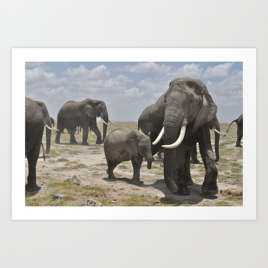 Elephants Art Print