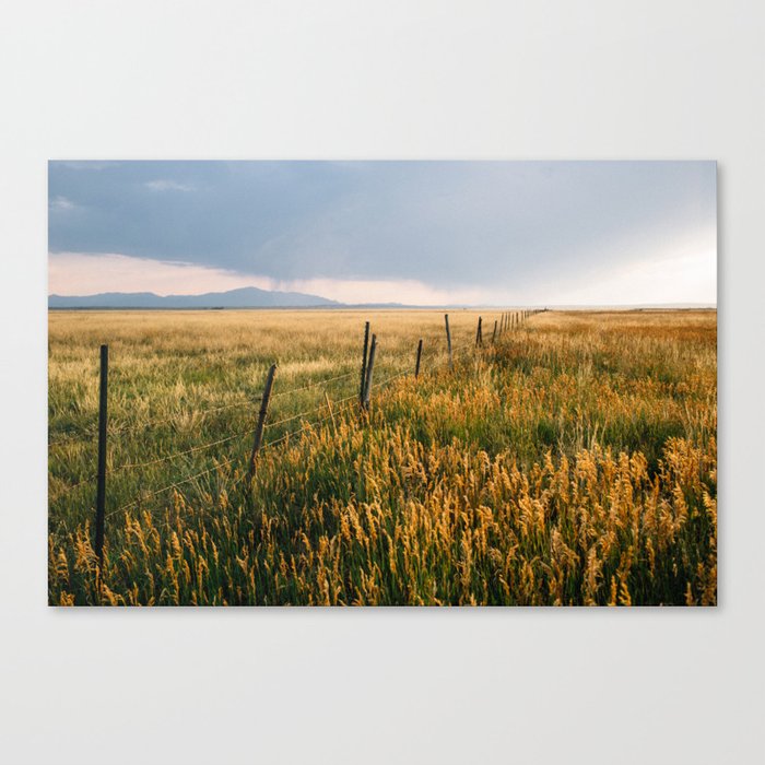 Golden Fields of Colorado Canvas Print