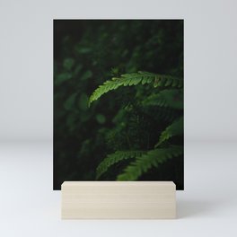 Fern in the Wilds Mini Art Print