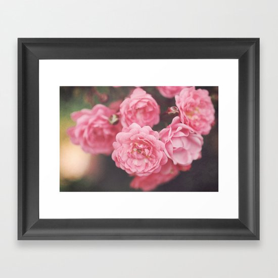 Roses Framed Art Print